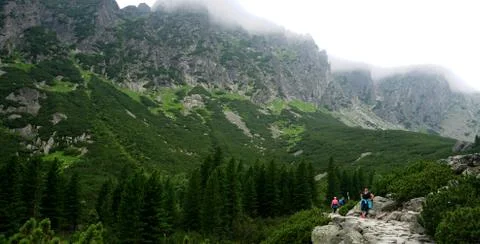 Mountain stone trail through forest in High Tatras Stock Photos