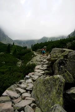 Mountain stone trail through forest in High Tatras Stock Photos