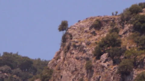 Mountain, stones, pine Video stock 43673081