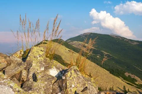 Mountain stony view Stock Photos