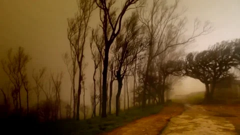 Mountain storm Stock Footage 222465695