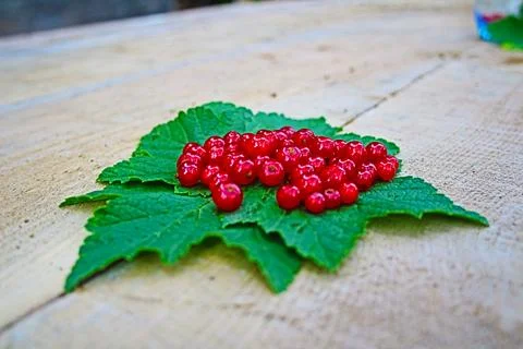 Mountain strawberries Stock Photos
