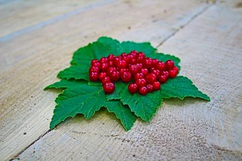 Mountain strawberries Stock Photos