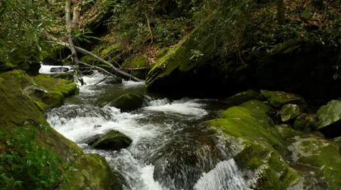 Mountain Stream 05 HD 4K 스톡 동영상 38277560