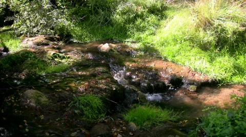 Mountain stream 1 Stock Footage 280716