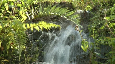 Mountain stream 1 Stock-Footage 511573
