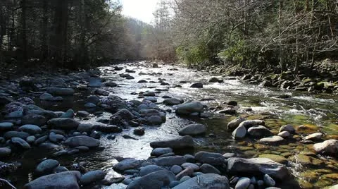 Mountain Stream 1 HD Vidéo 21376341