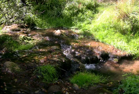 Mountain stream 1 NTSC HD &amp; PAL Available 動画素材 299841