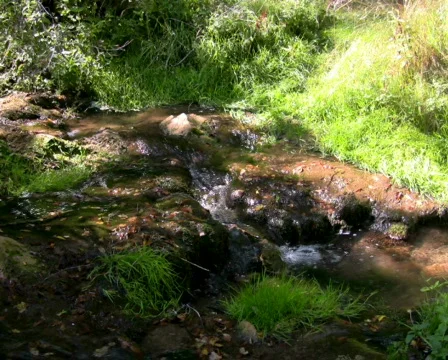 Mountain stream 1 PAL &amp; HD Available Video stock 299044
