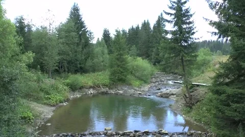 Mountain stream 1, Slovakia in the Orava region Video stock 46256847