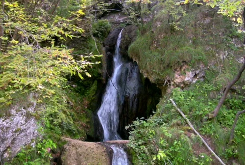 Mountain stream 10 NTSC HD &amp; PAL Available 動画素材 300022