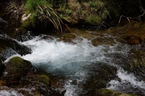 Mountain stream - 10 Stock Photos
