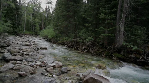 Mountain Stream 1080 Stock Footage 28608929