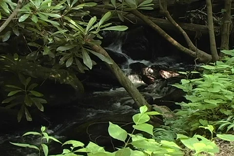 Mountain Stream 12 Stock-Footage 1035680