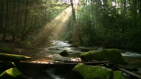 Mountain Stream 13 Stockbeeldmateriaal 28388605