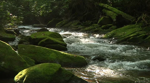 Mountain Stream 14 Stock Footage 28258408