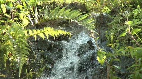Mountain stream 2 Video stock 511571