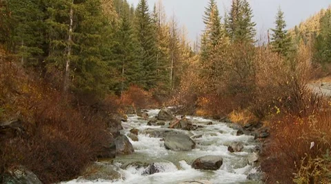 Mountain stream 2 Video stock 7737008