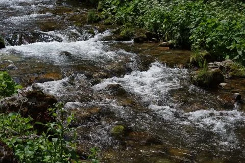 Mountain stream - 2 Stock Photos
