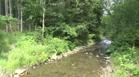 Mountain stream 2, Slovakia in the Orava region Video stock 46257292