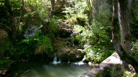 Mountain stream 3 Video stock 280729