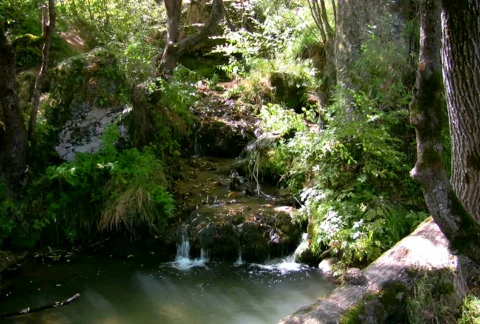 Mountain stream 3 NTSC HD &amp; PAL Available Stock Footage 299846