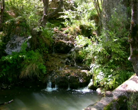 Mountain stream 3 PAL &amp; HD Available Video stock 299053