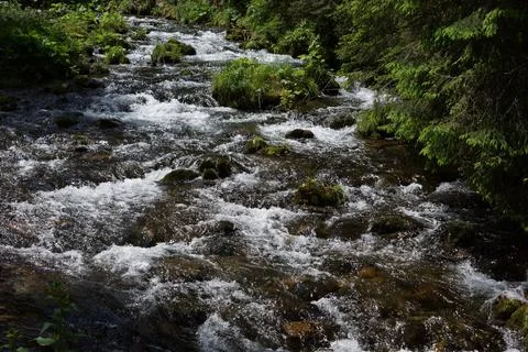 Mountain stream - 3 Stock Photos
