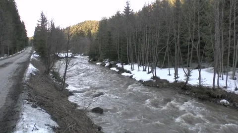 Mountain stream 3, Slovakia in the Orava region Video stock 46256945