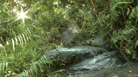 Mountain stream 4 Stock Footage 511563