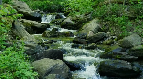 Mountain Stream 42 Slow Motion Stockbeeldmateriaal 37753294