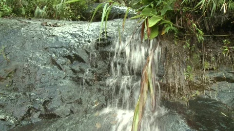 Mountain stream 5 Stock Footage 511562