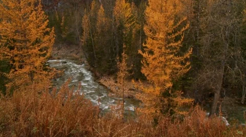 Mountain stream 5 Vídeos de archivo 7737143