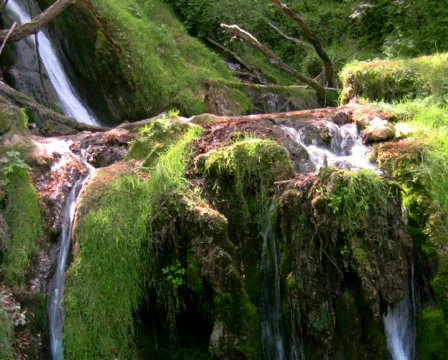 Mountain stream 5 PAL &amp; HD Available Stock Footage 299061