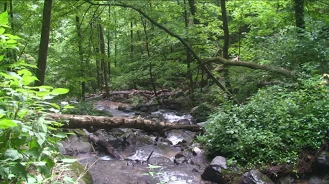 Mountain Stream 6 Stock Footage 29804856