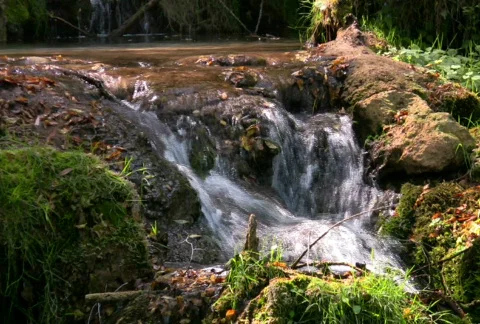Mountain stream 7 NTSC HD &amp; PAL Available Stock Footage 300010