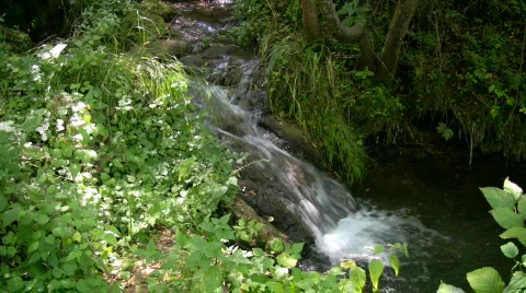 Mountain stream 8 Stock Footage 280809