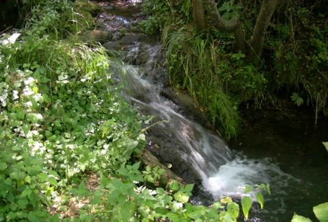 Mountain stream 8 NTSC HD &amp; PAL Available Video stock 300015