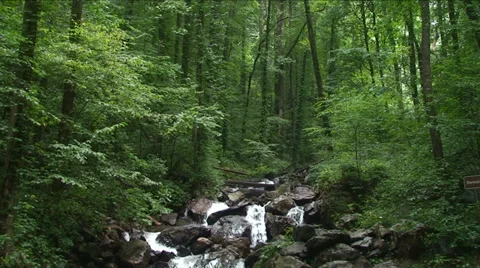 Mountain Stream 9 Stock Footage 29806278