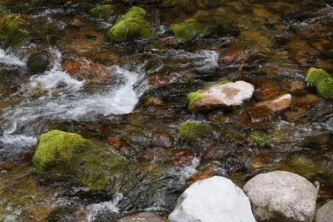 Mountain stream - 9 Stock Photos