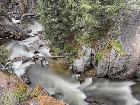 Mountain Stream Above Stock Photos