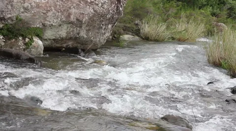 Mountain Stream After the Rains Stock-Footage 50744793
