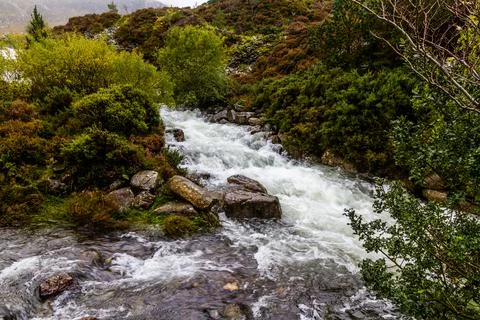 Mountain stream after storm Stock Photos
