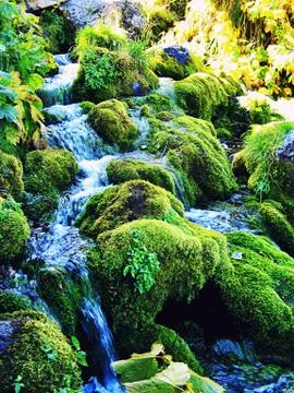 Mountain stream among the green mossy stones Stock Photos