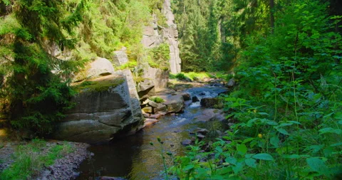Mountain stream among rocks in the forest, Germany. Nature river waterfall Stock Footage 203974556