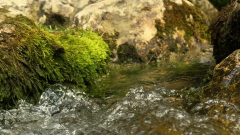 Mountain stream among rocks overgrown with moss, close up 動画素材 126318435