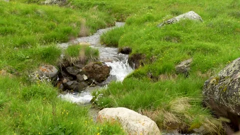 A mountain stream among stones and grasses Stock Footage 342713345