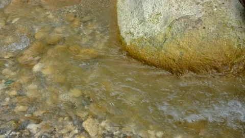 Mountain stream among yellow stones and green leaves Stock Footage