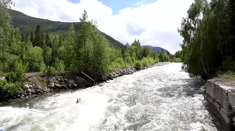 Mountain stream and forest in summer 스톡 동영상 49044519
