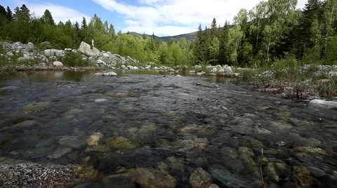 Mountain stream and forest in summer 스톡 동영상 49044550